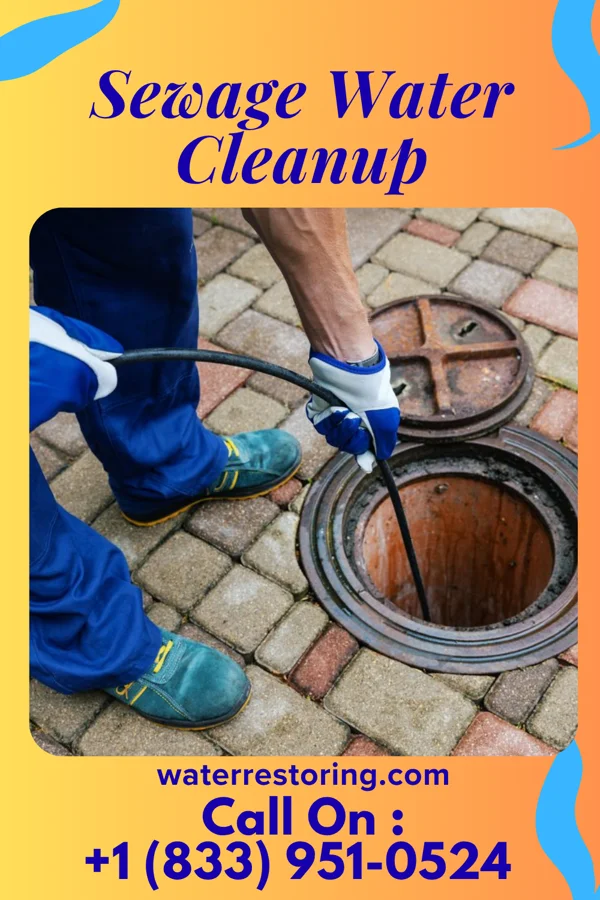 Sewage Water Cleanup in Archer City, TX